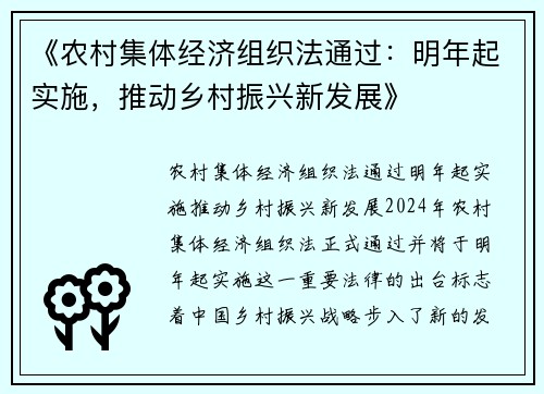 《农村集体经济组织法通过：明年起实施，推动乡村振兴新发展》