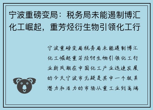 宁波重磅变局：税务局未能遏制博汇化工崛起，重芳烃衍生物引领化工行业新风潮
